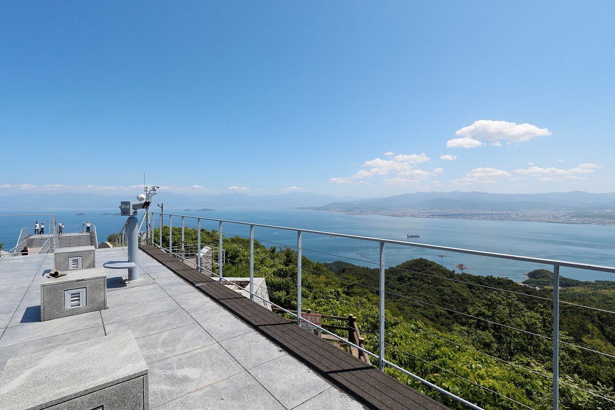 🌳 이마바리 시민의 숲 플라워 파크 (이마바리 시민노모리 후라와파쿠) 이미지 8